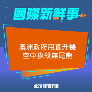 20250424 澳洲政府用直升機 空中撲殺無尾熊 20250424 澳洲政府用直升機 空中撲殺無尾熊