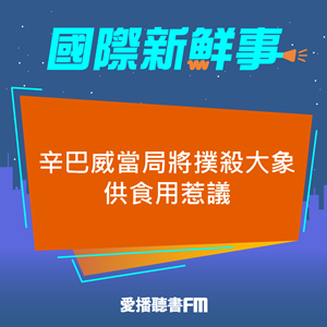 20250605 辛巴威當局將撲殺大象供食用惹議 20250605 辛巴威當局將撲殺大象供食用惹議