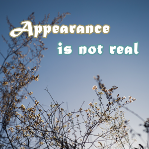 Appearance is not real