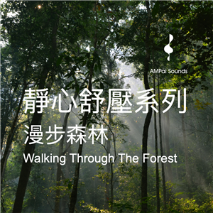 AMPai Sound：漫步森林--靜心舒壓系列