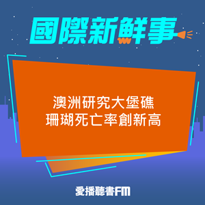 20241120 澳洲研究大堡礁珊瑚死亡率創新高